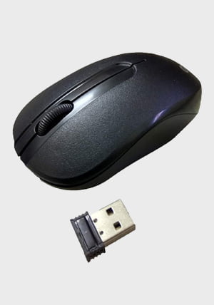 Quantum-QHM271 Wireless Optical Mouse (2.4GHz Wireless, Black) - shopscan