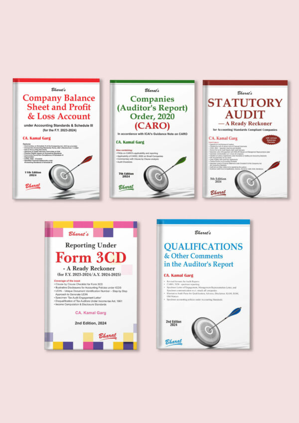 Audit Essentials Galore - Image 5